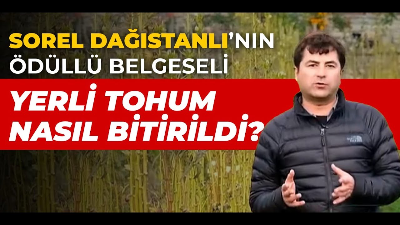 Yerli tohum nasıl bitirildi? Sorel Dağıstanlı'nın ÇGD'den ödül alan belgeseli