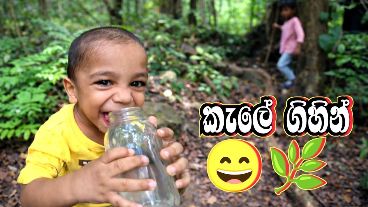 Forest trip....අන්තිමට මොකද උනේ? 😲 | Family Travel Vlog