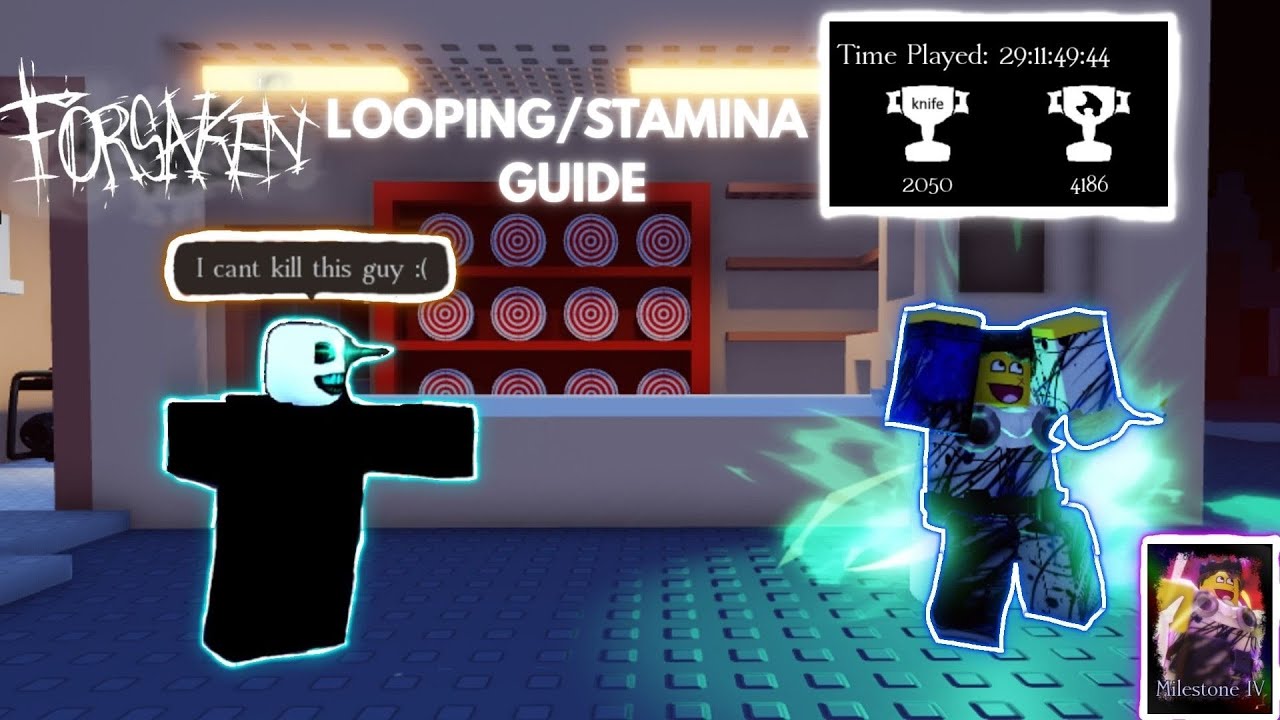 FORGET About The Other Guides, THIS is What YOU Need To Do (Stamina/Looping guide)