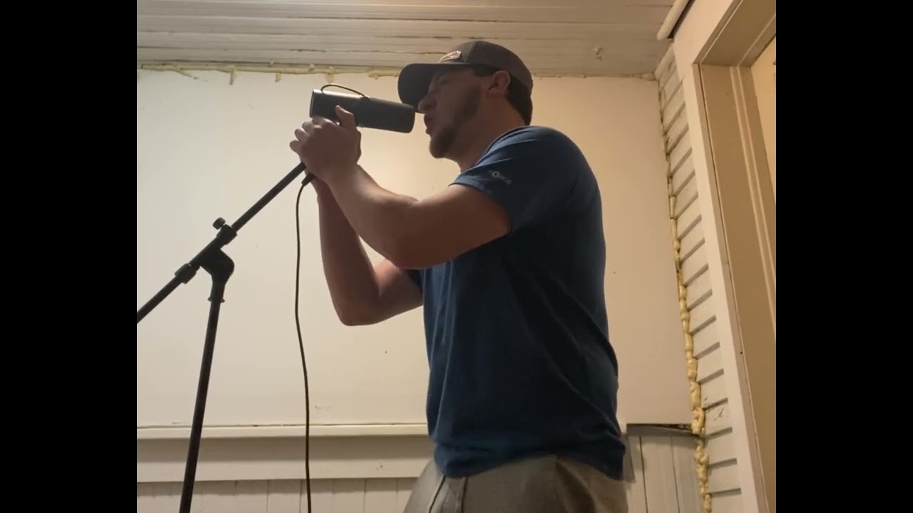 The Heaviest Matter of the Universe - Gojira Vocal Cover