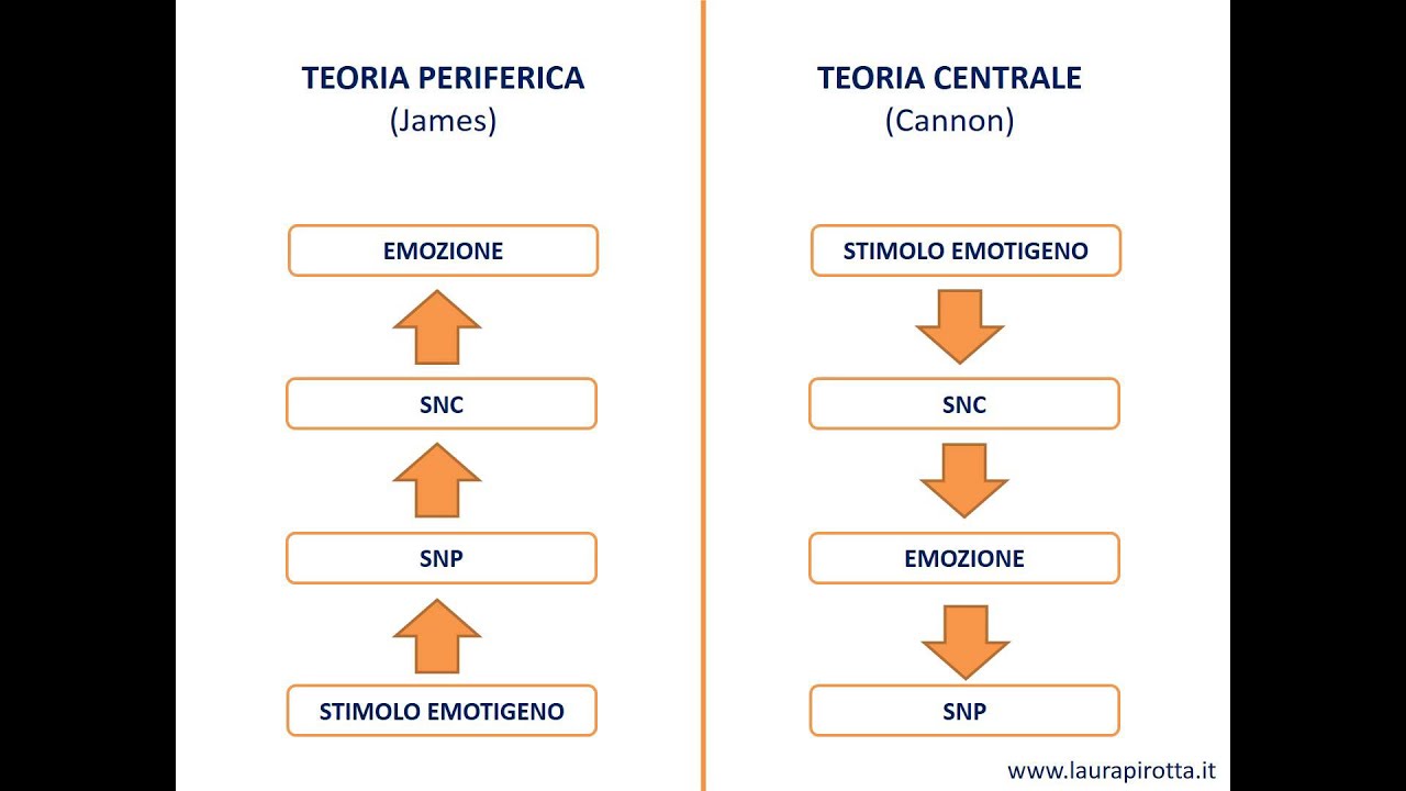 Le teorie sulle emozioni