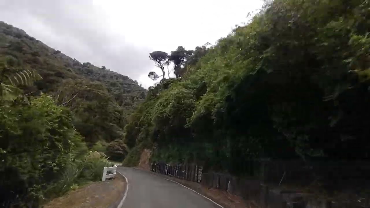 Forest Drive 92 - Akatarawa Road Rambles