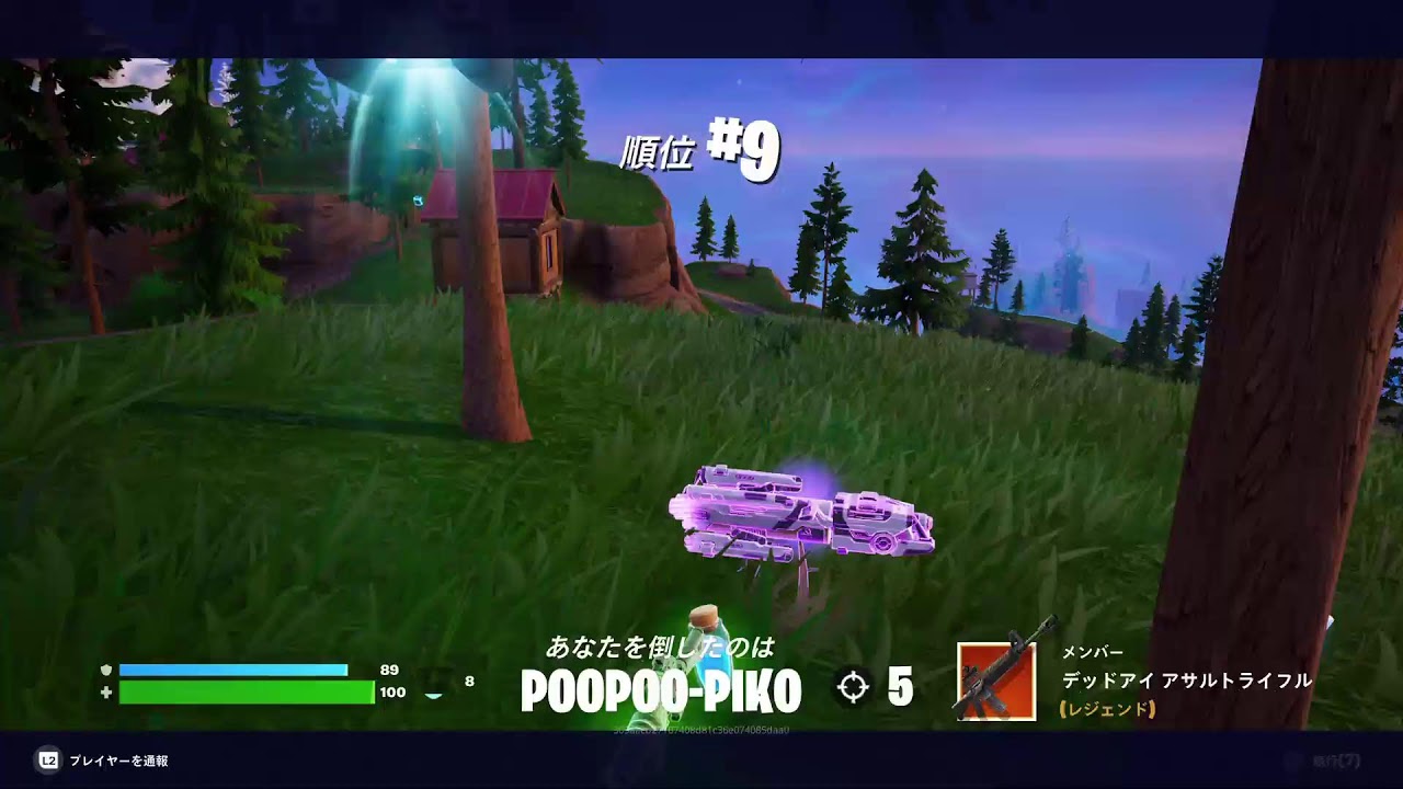 ちょっとだけよあんたもすきねー