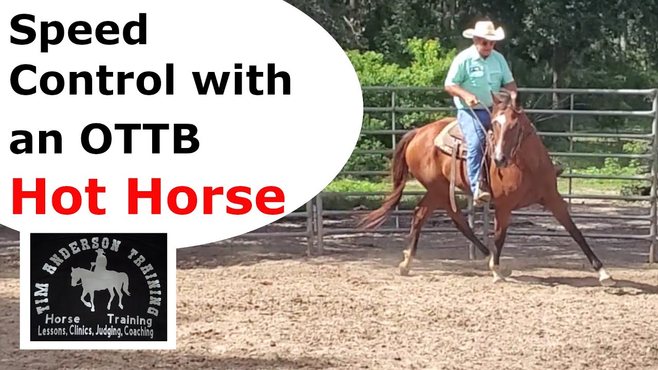 Speed control with a hot horse