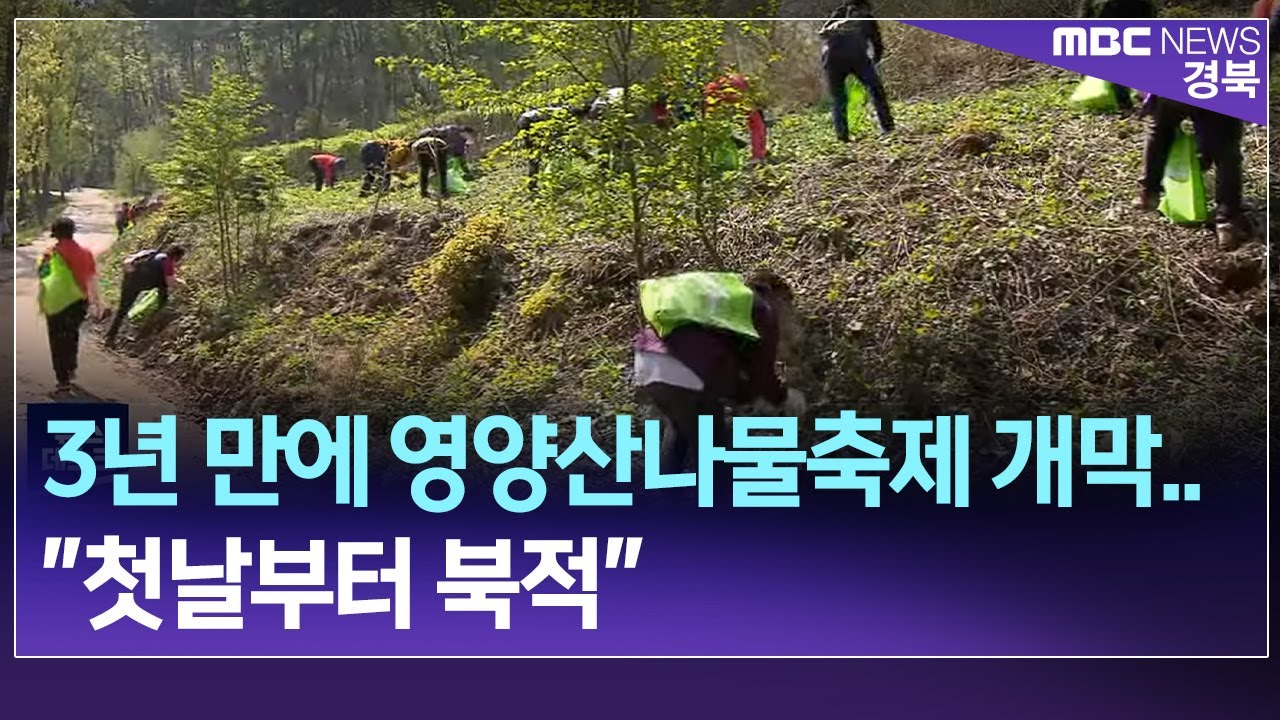 R]3년 만에 영양산나물축제 개막..