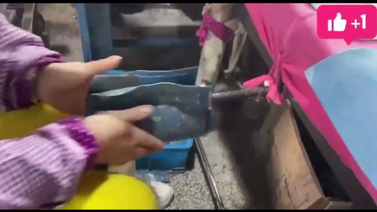 Handmade rubber rain boots