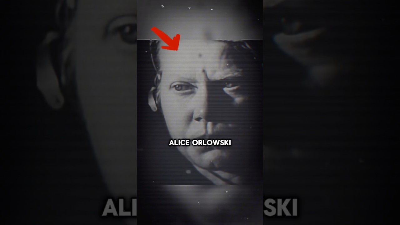The Brutal Warden - Alice Orlowski