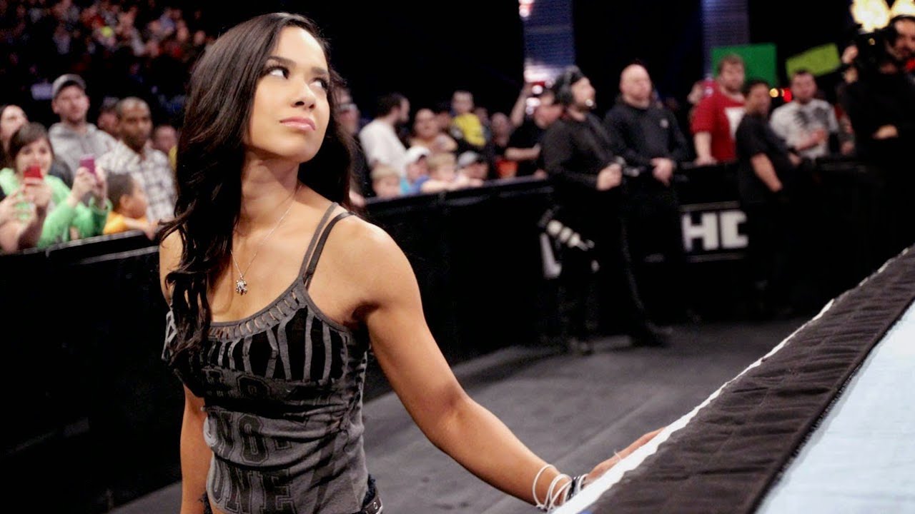 Aj Lee Tribute - One More Time