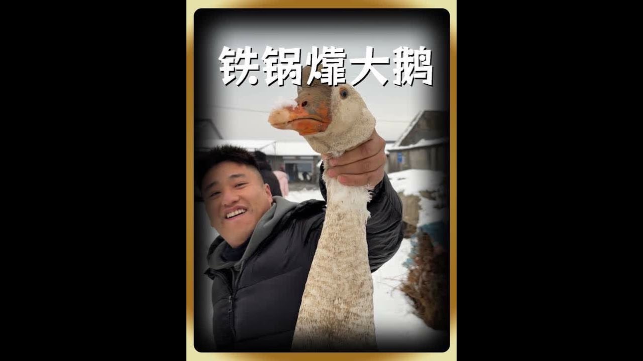 山是山河是河咱说铁锅必须㸆大鹅，先吃了老铁们#记录我的农村生活 #铁锅炖大鹅 #美食