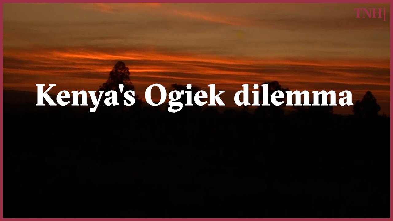 Conservation versus human rights: Kenya's Ogiek dilemma