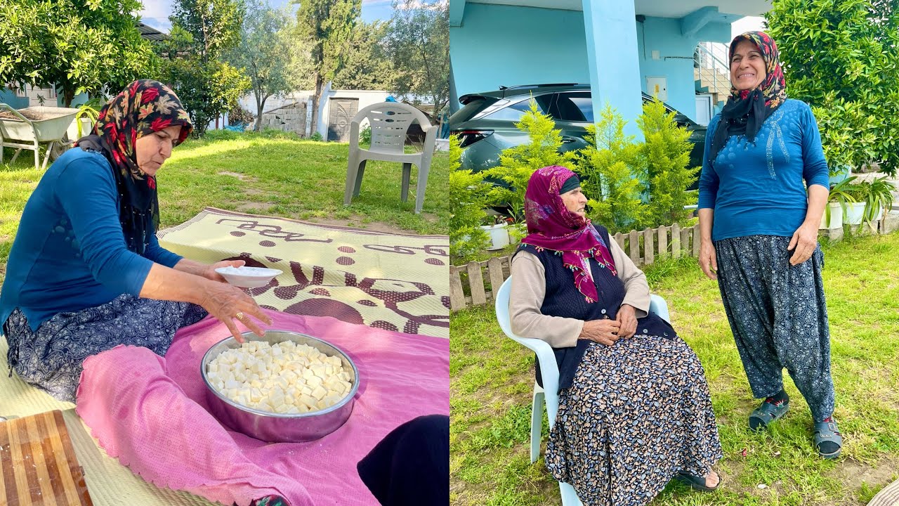 NENEM GELDİ TAZE KOYUN PEYNİR YAPIMI ~ KURBAN BAYRAMI İÇİN KOYUNLAR GELDİ