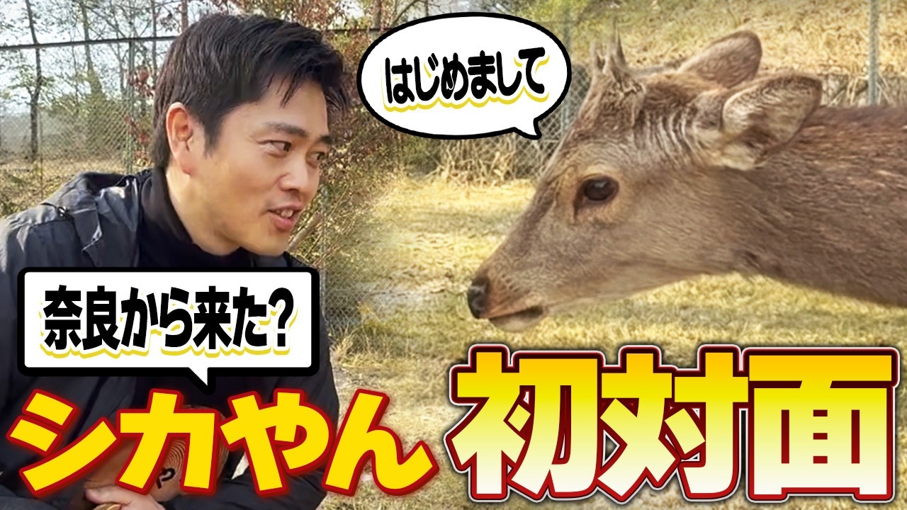 【シカやん】能勢温泉のアイドル・シカやんに会いに行きました！どう見ても奈良のシカやん。