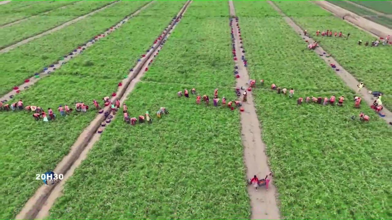 DALABA / AGRICULTURAL ENTREPRENEURSHIP OF MARCH 3, 2025. 