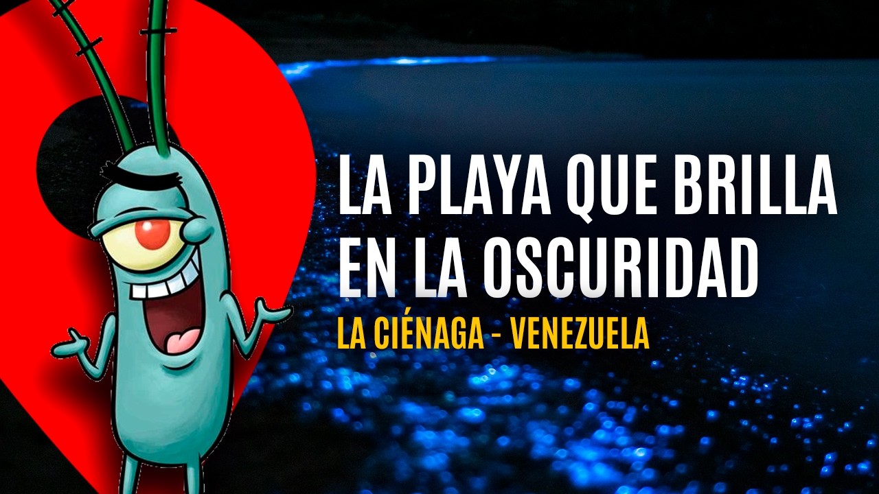 ¿Una playa que brilla en la oscuridad? BIOLUMINISCENCIA enLa Ciénaga, Venezuela