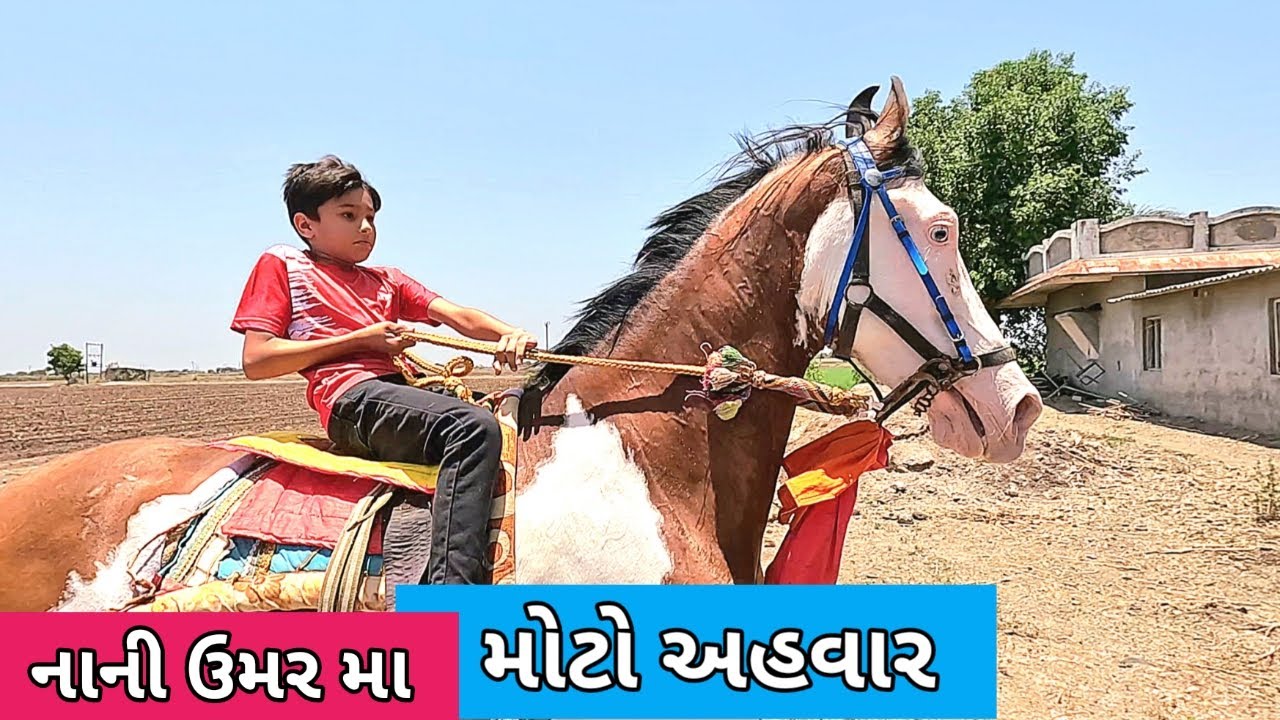 નાની ઉમર મા મોટો અહવાર | Young Horse Rider | Horse Riding | Horse Video | Gujrati Vlog | Stud Farm