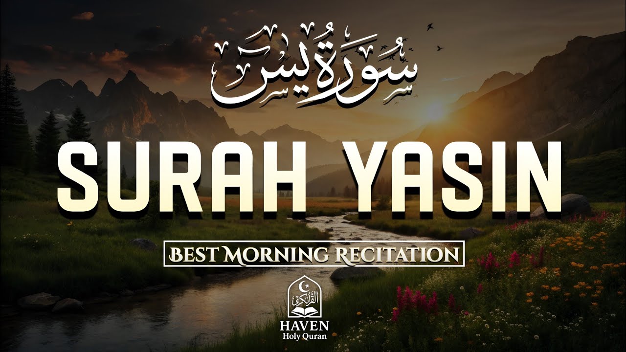 Surah Yasin (سورة يس) | Beautiful Morning Recitation for Peace & Barakah | Haven Holy Quran