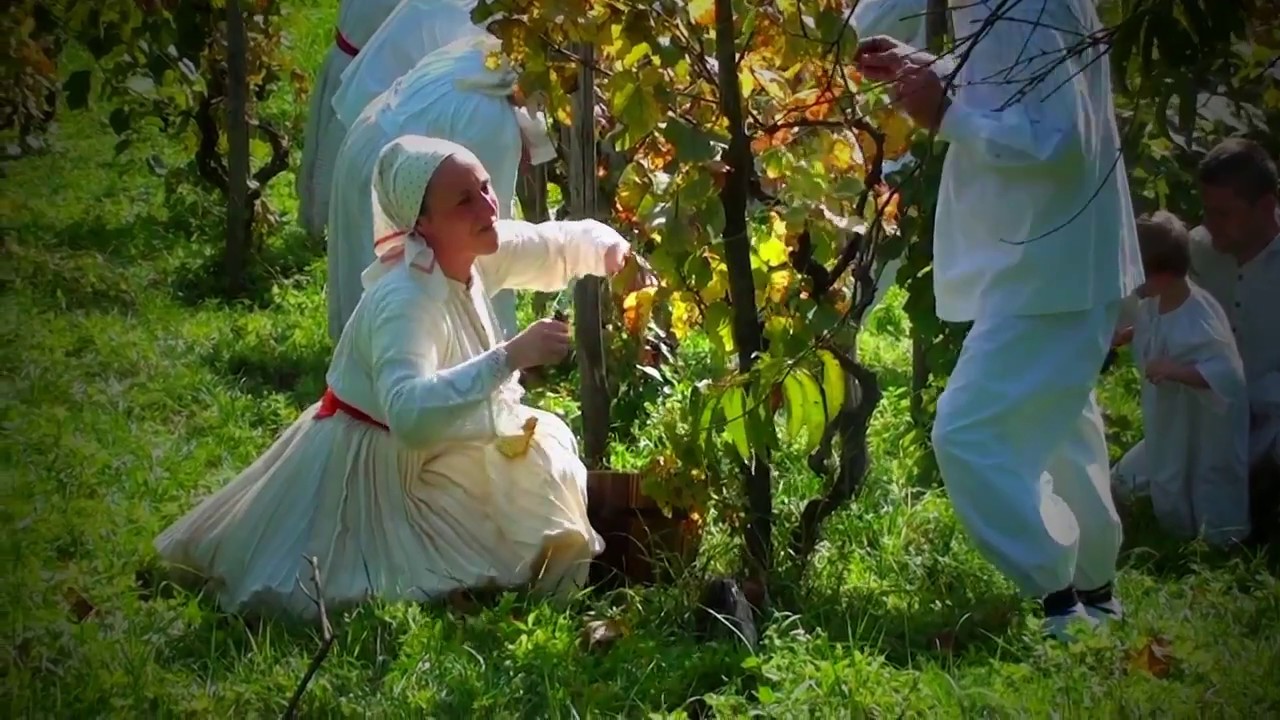 Berba kakva je nekad bila - FA 