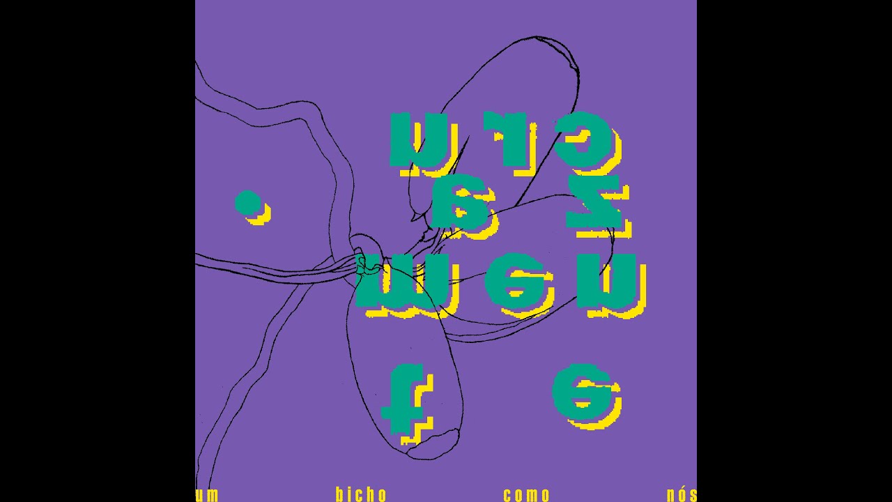 .cruzamente - &agrave; sorte e ao azar