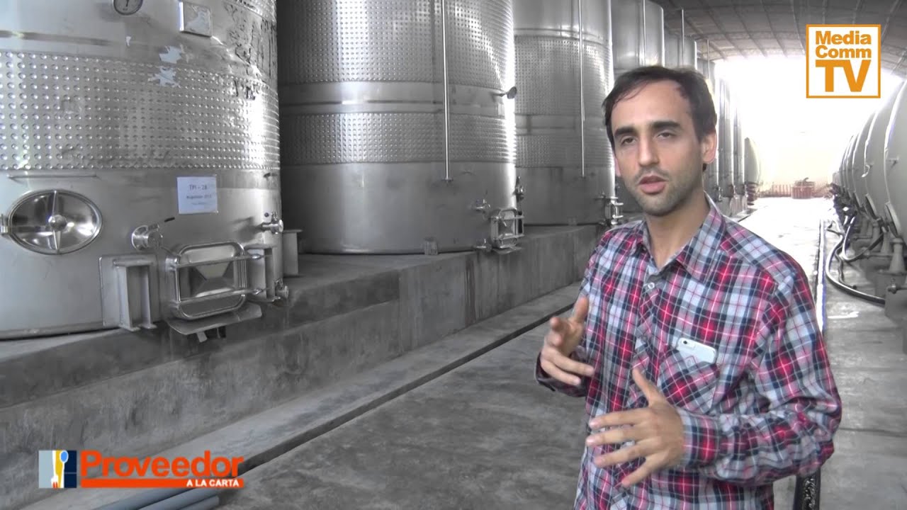 Conozca el proceso del Pisco desde Viña Vieja   Chincha