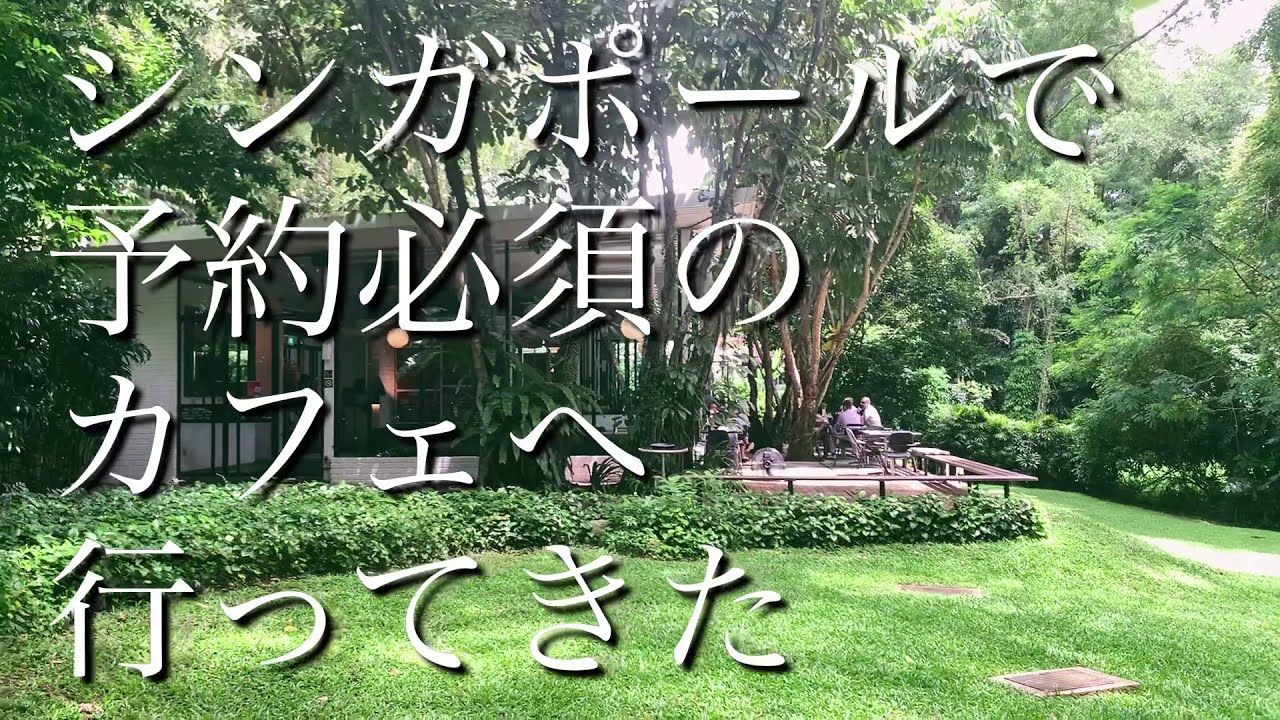 シンガポールで大人気！【予約必須のカフェ】へ行ってきた　I went to a cafe in Singapore that requires a reservation.