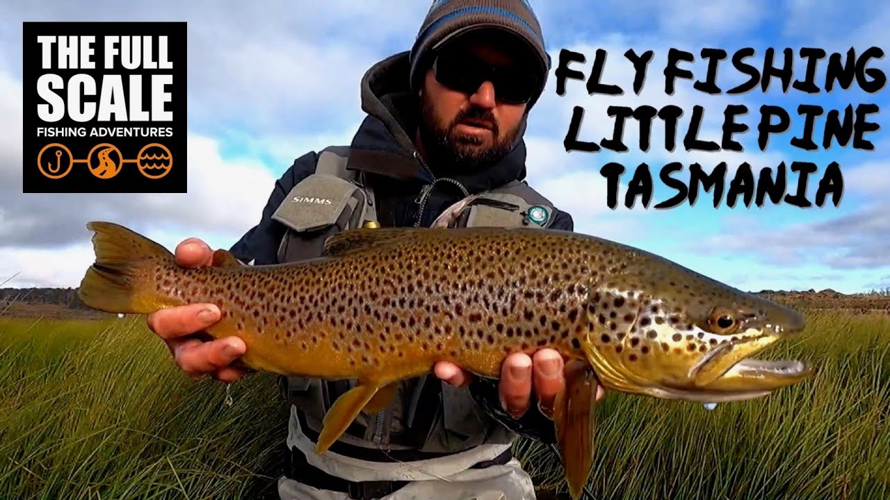 Shore Based Fly Fishing | Little Pine Lagoon Tasmania | The Full Scale