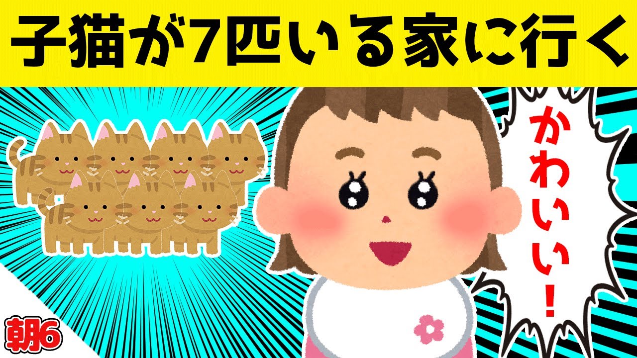 子猫を7匹も飼っている友人の家に、娘と遊びにいった結果ｗｗｗ