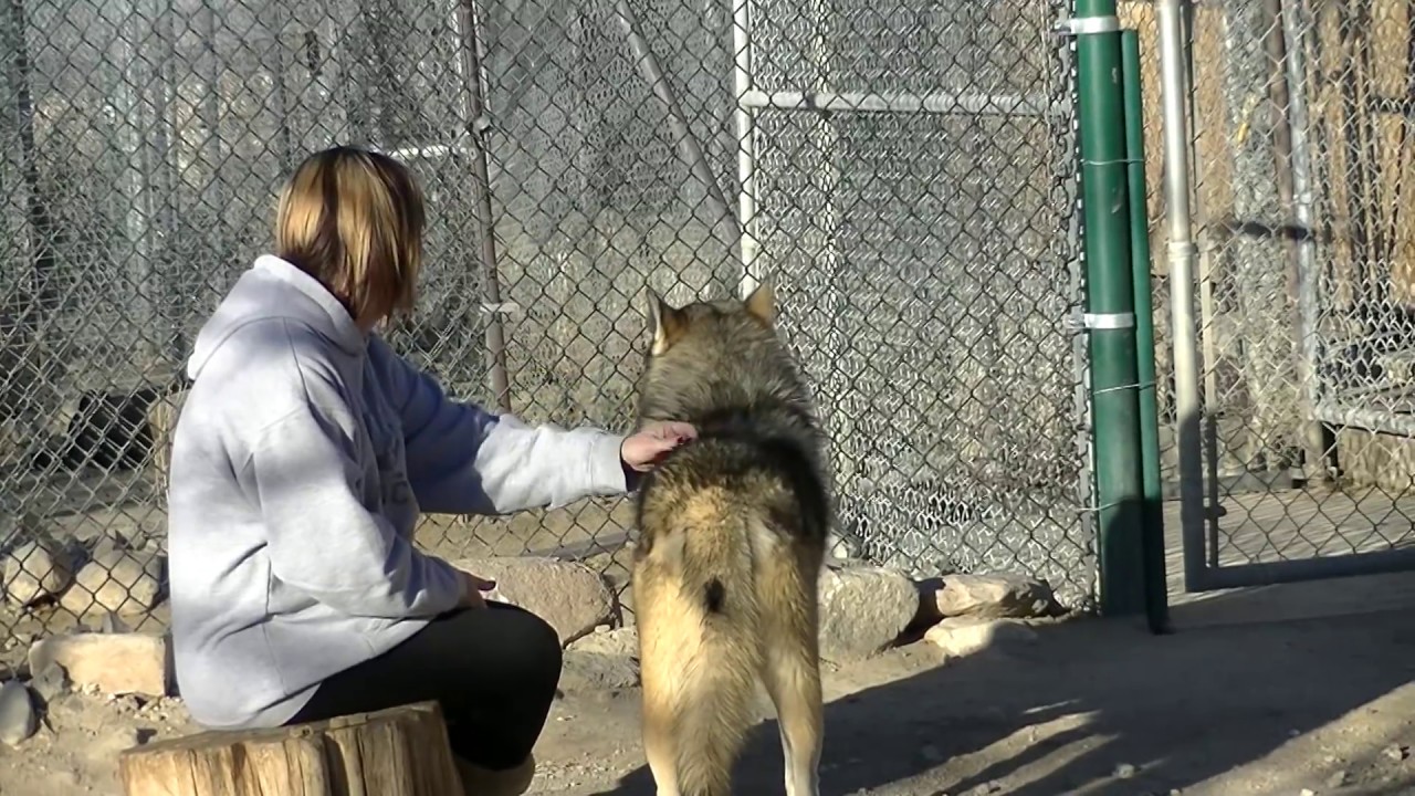 Wacipi Cleans Me (I need a new hoodie)