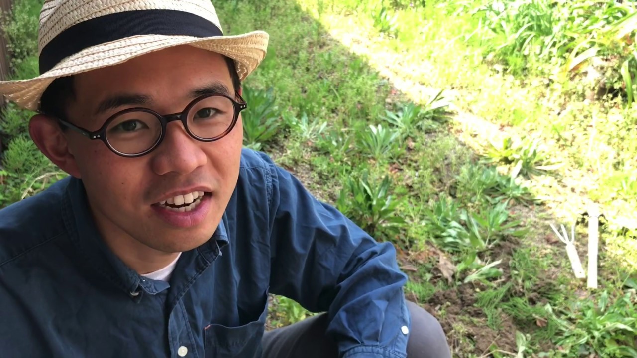 自宅キャンプ始めます！まずはテントを張る場所の整備から。