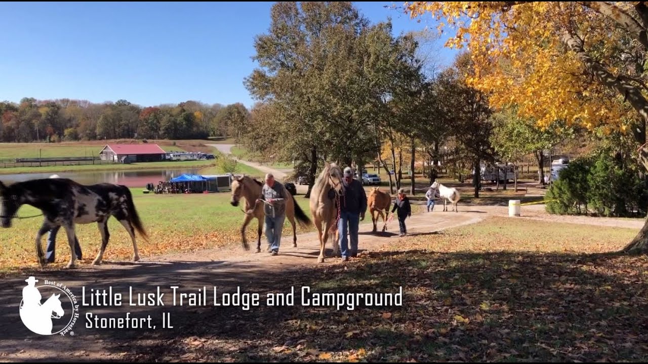 Little Lusk Trail Lodge and Campground
