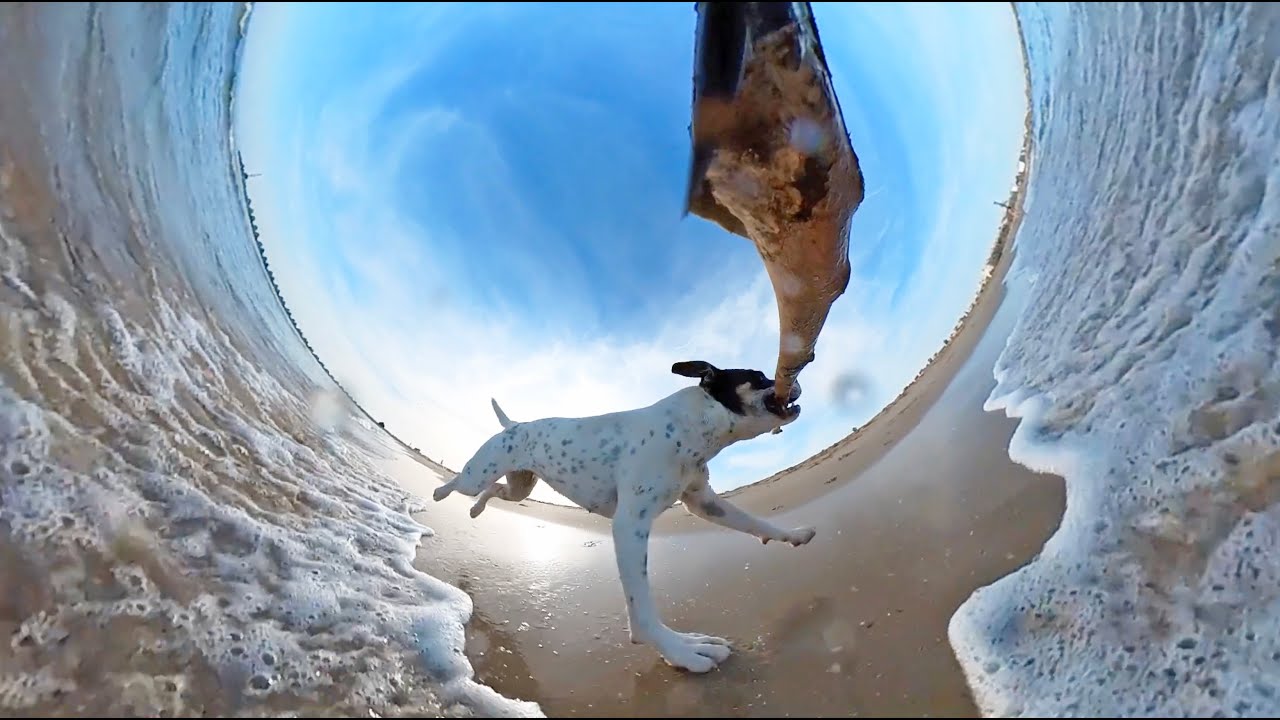 ТОП 5 ОБНОВЛЕННЫХ ВИДЕО ИДЕЕЙ с Insta360 ONE X2