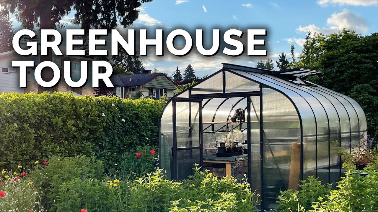 Backyard Greenhouse Tour | Placement, Setup, & Gear!