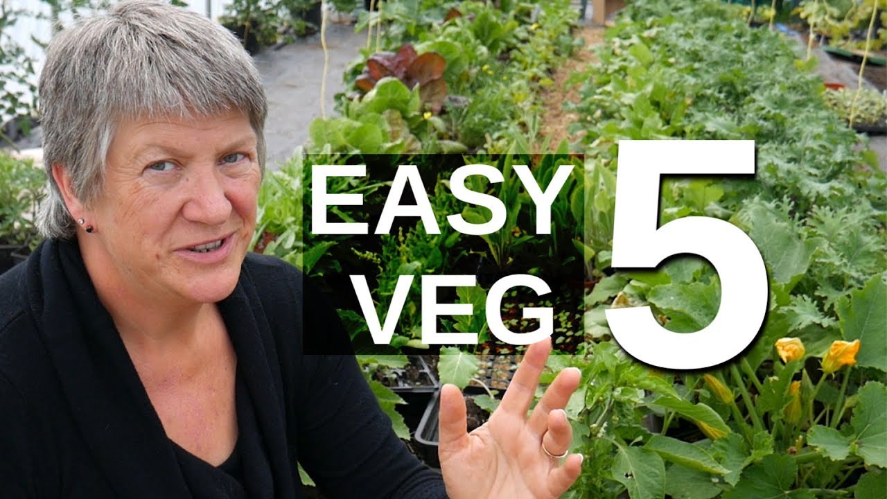 5 EASY Perennial Vegetables (Harvest food year after year)
