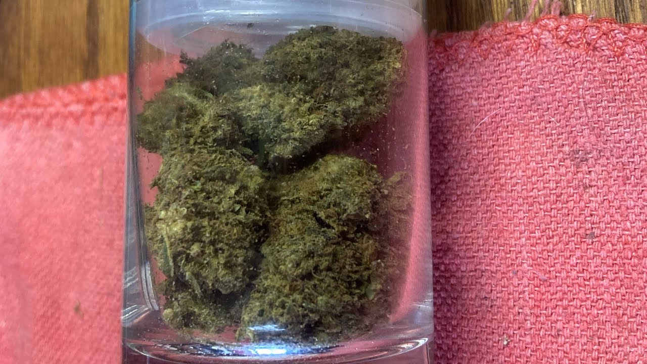 Smoke sesh with Safferoth lets get litt🤙💨🔥