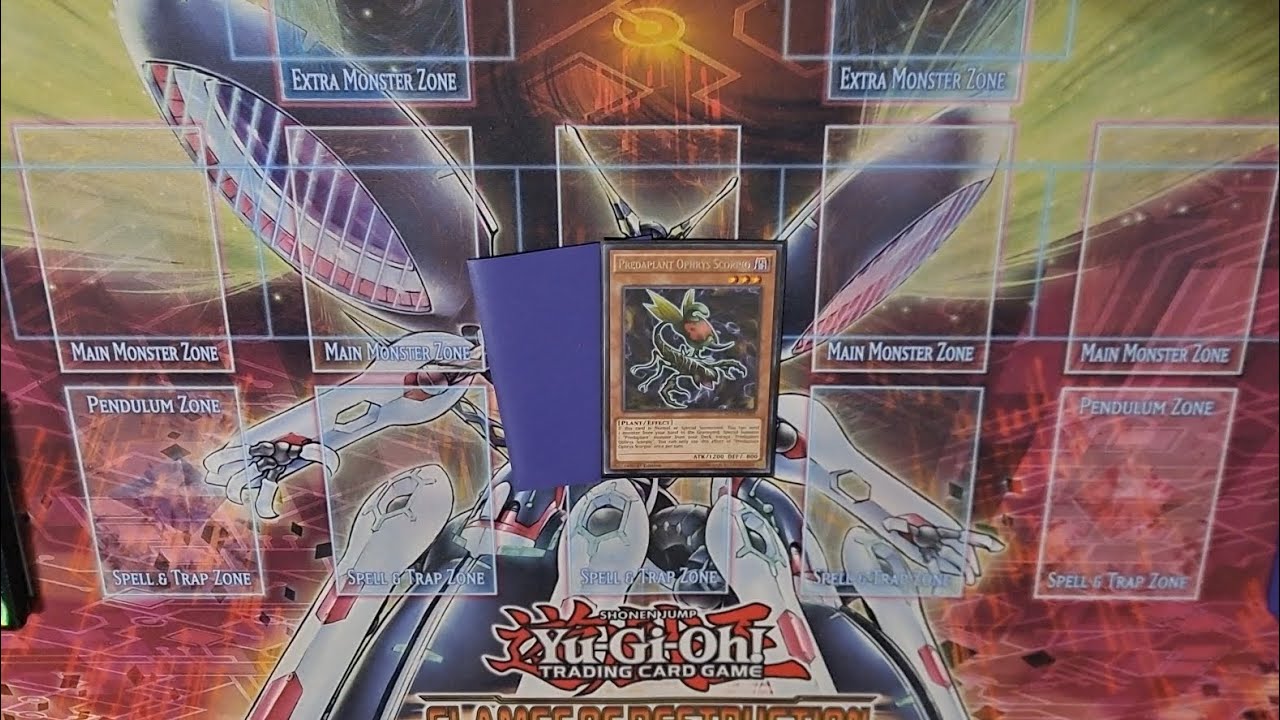 Predaplant Phantom Knight Combo Tutorial December 2024