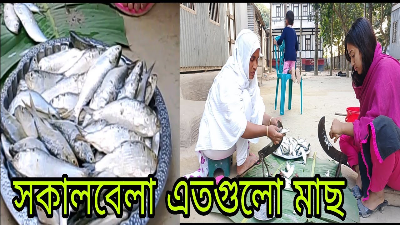 পদ্মা নদীর তাজা ইলিশ কিনে আনলাম সকালবেলাlamiyalifestyle 