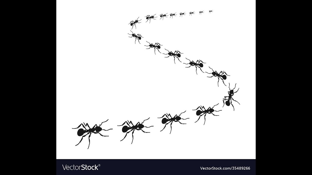 Do you know? Ants follow Fermat's principle of least time.!