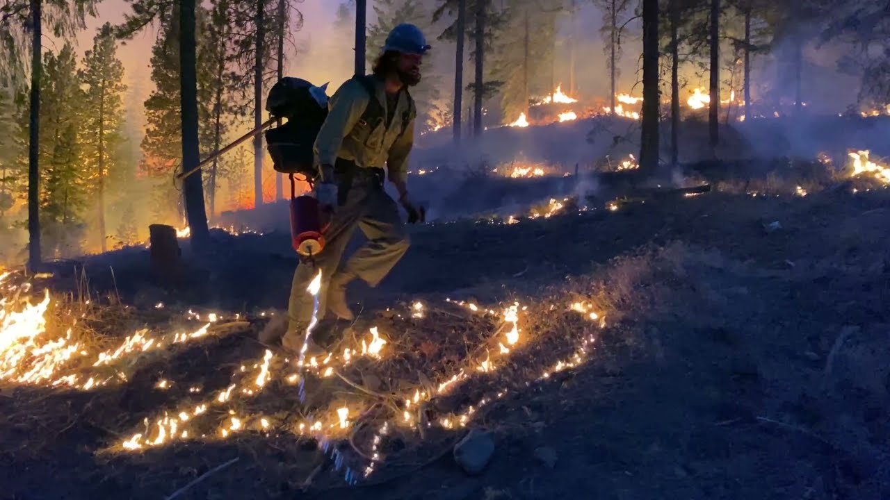 Night Burning on the Schneider Springs Fire with Logan Hotshots
