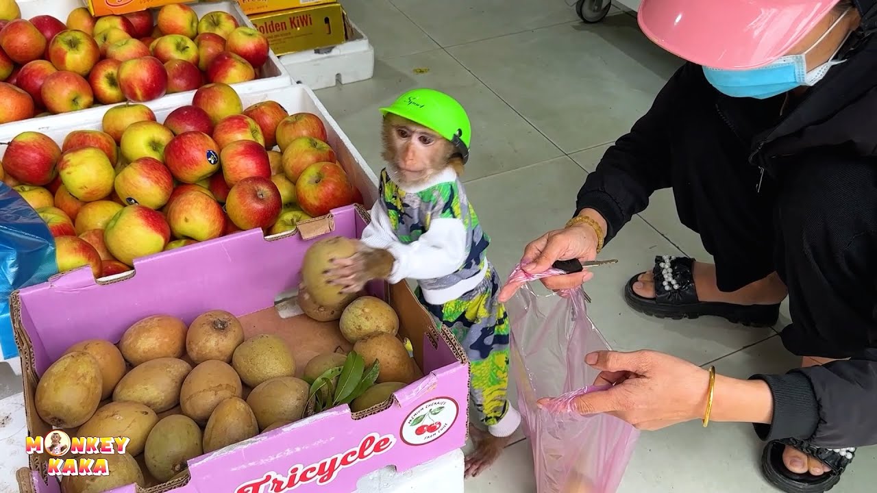 Monkey Kaka helps mom choose fruit when going to the supermarket