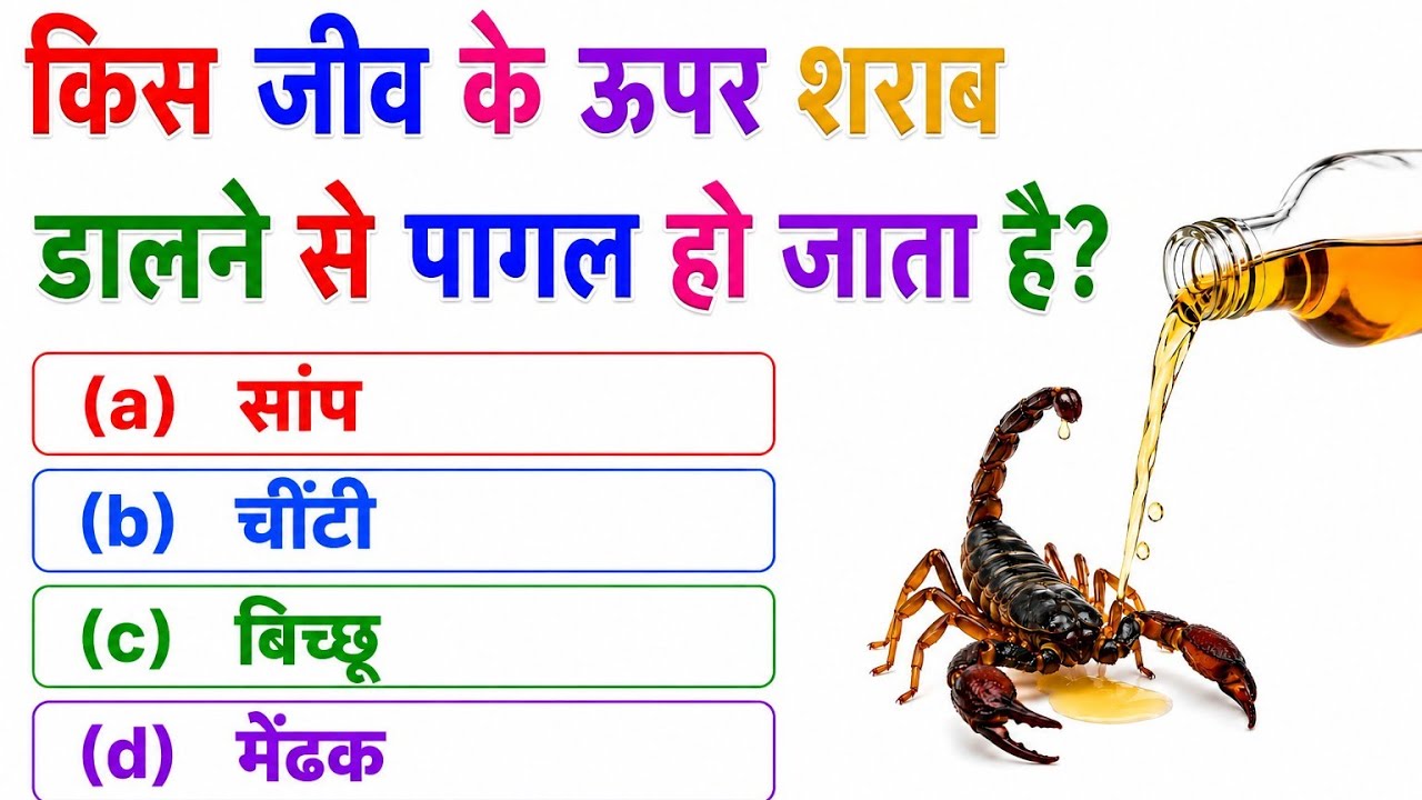 GK Question || GK In Hindi || GK Question and Answer || GK Quiz || Gk Video || Quiz Video || GK ||