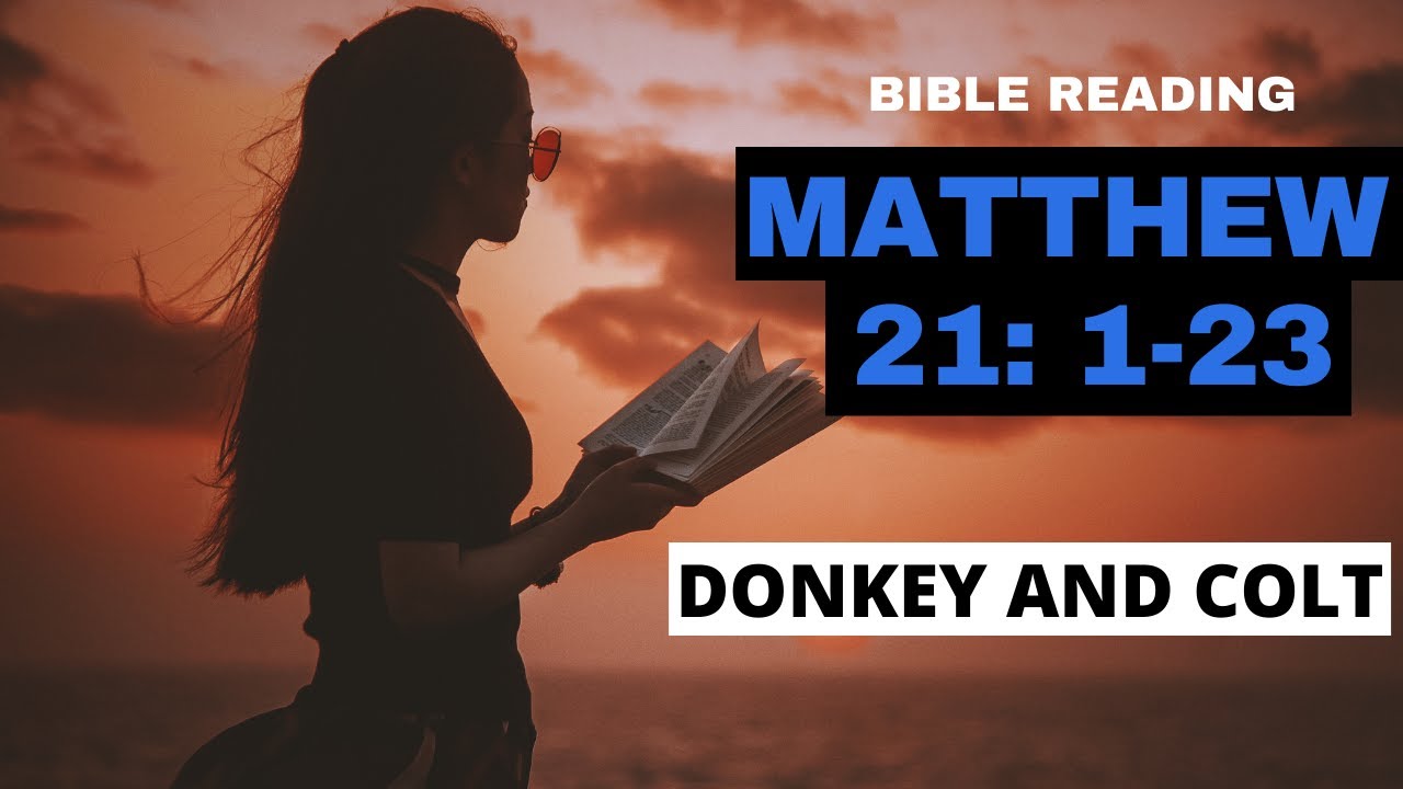DONKEY AND COLT: BIBLE READING