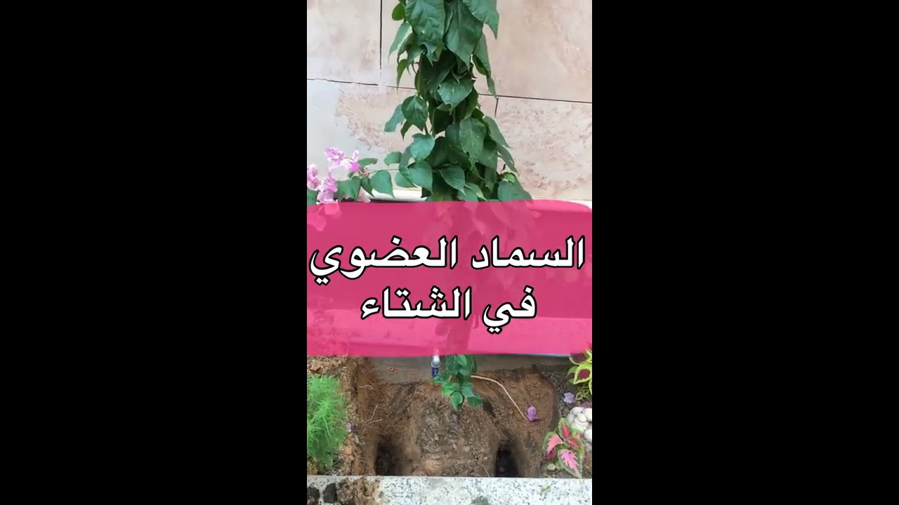 الخدمة الشتوية لجميع الأشجار - إضافة السماد العضوي + خلطة مميزة وفعالة تقلل الحاجة لإضافة الأسمدة