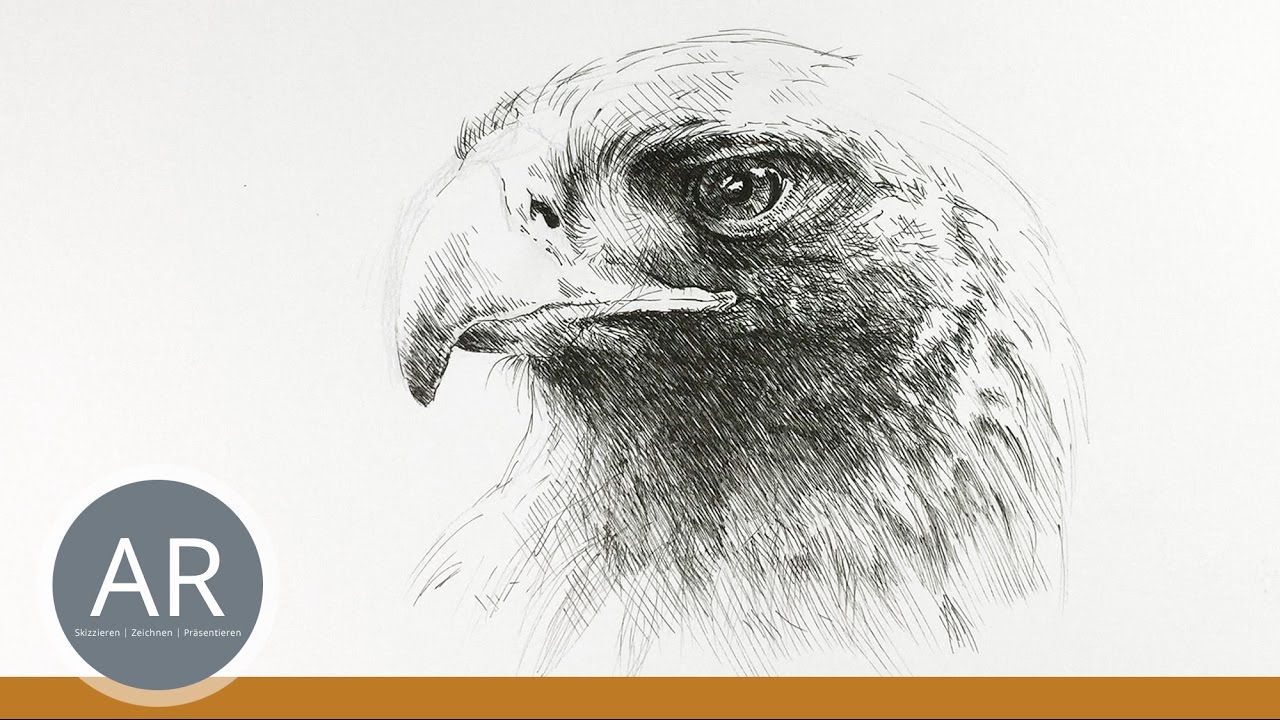 Tiere zeichnen lernen. Tierskizzen. Tiere malen. Mappenkurs Kunst