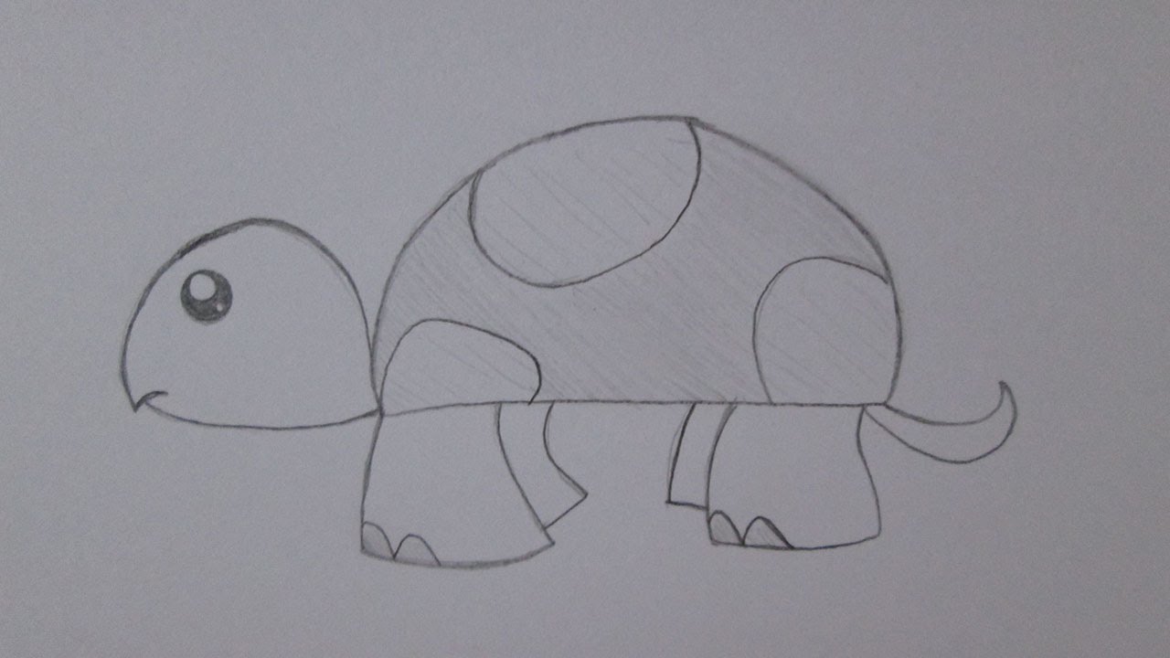 Como desenhar uma tartaruga