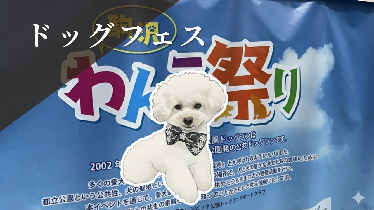 【ドッグフェス】駒沢わんこ祭り2025 in 駒沢公園