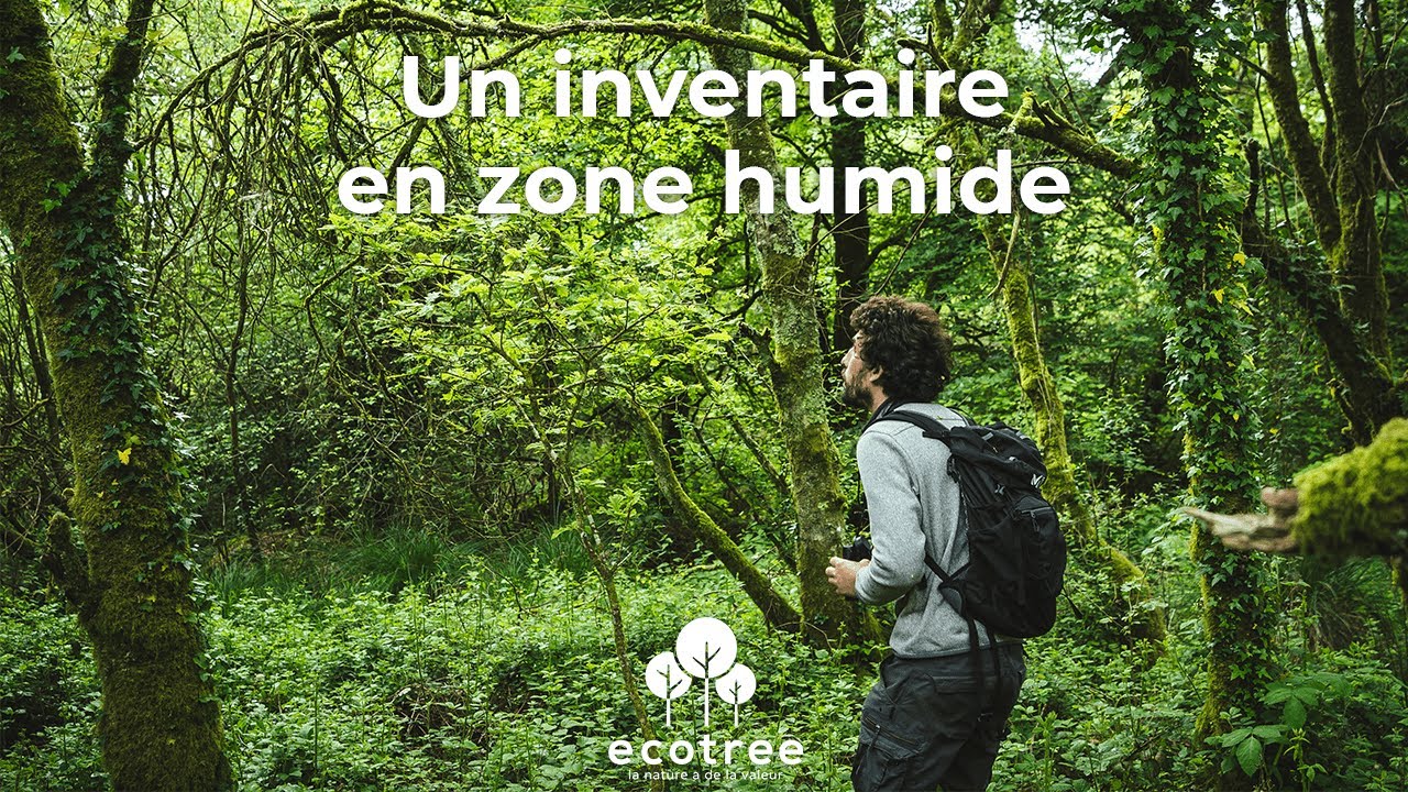 Inventaire en zone humide, avec un écologue
