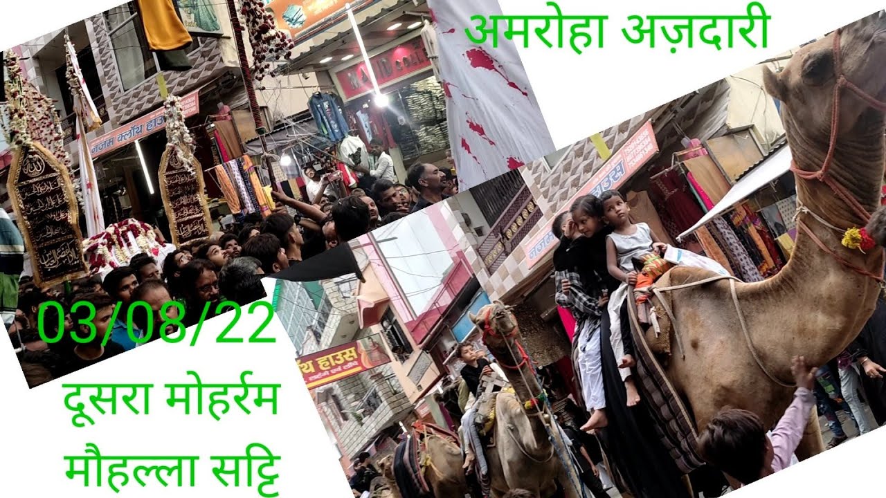 अमरोहा अज़दारी #amroha #moharram #julus #hussain #vlog #syed #matam #shia #lami #karbala