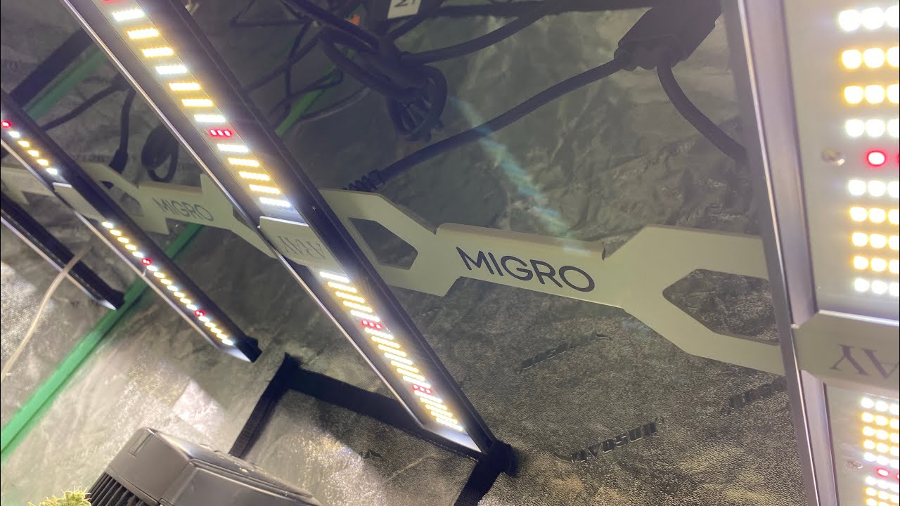 D48F Lit! Migro Aray 4 Installed and Mars SP3000 Repaired. 5 Strain Cannabis Grow