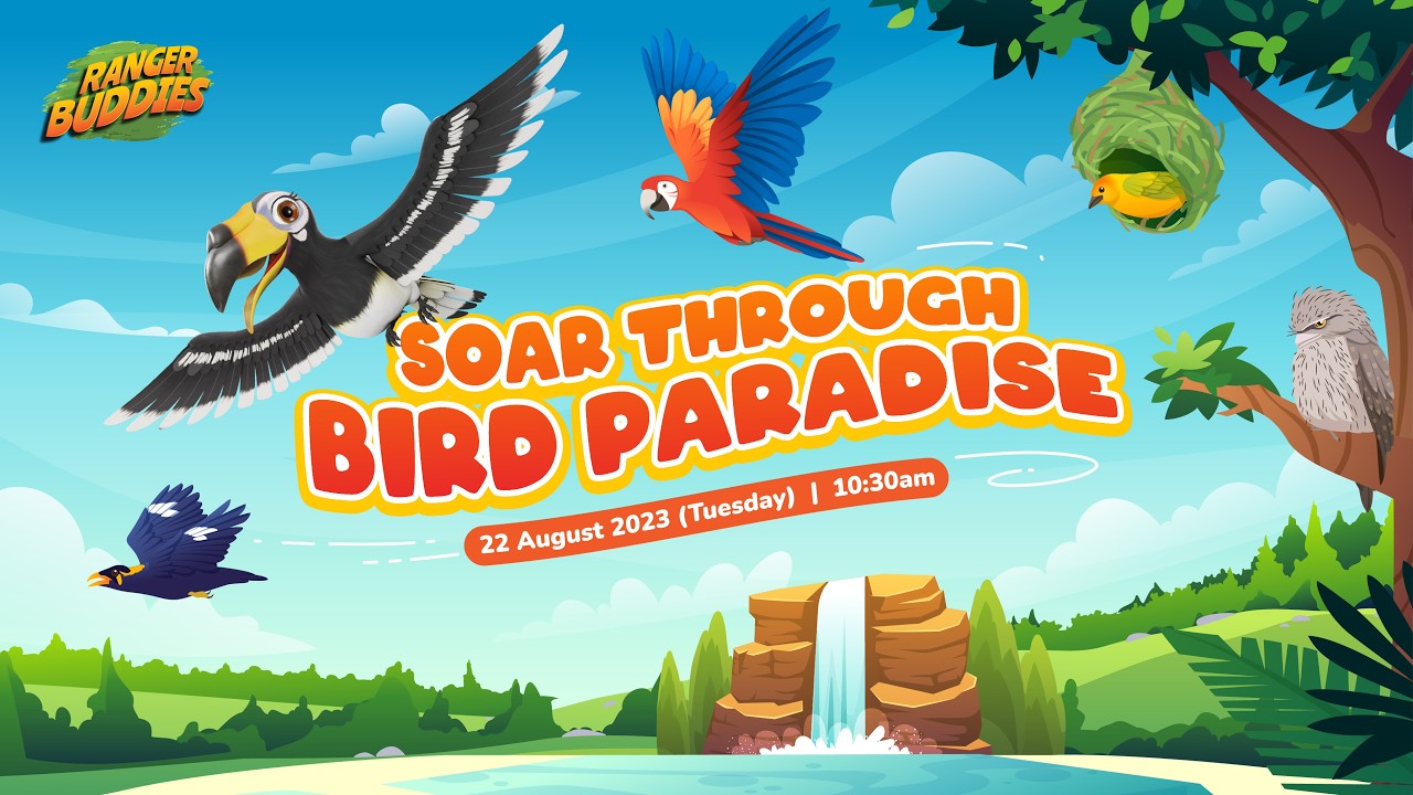 Ranger Buddies Virtual Show: Soar Through Bird Paradise