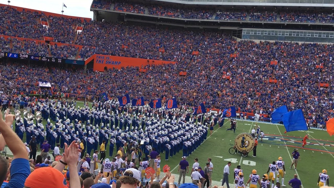 Going To A Florida Gators Game In Gainesville!