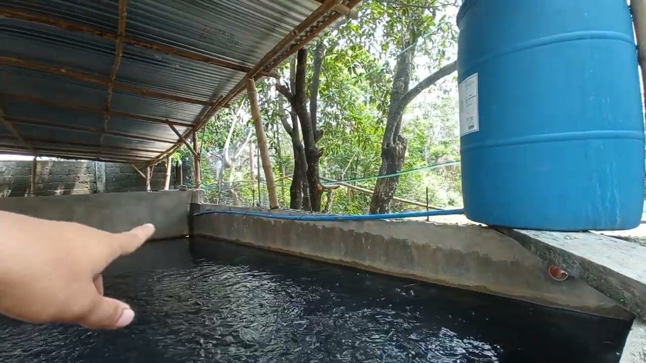Bakit Nga Ba Mahalaga Ang Paglalagay Ng Aerotor at Lupa sa Concrete Pond ?